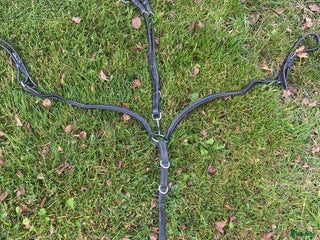 Sadeltillbehör hästutrustning till salu: Brösta/martingal - Annons 24