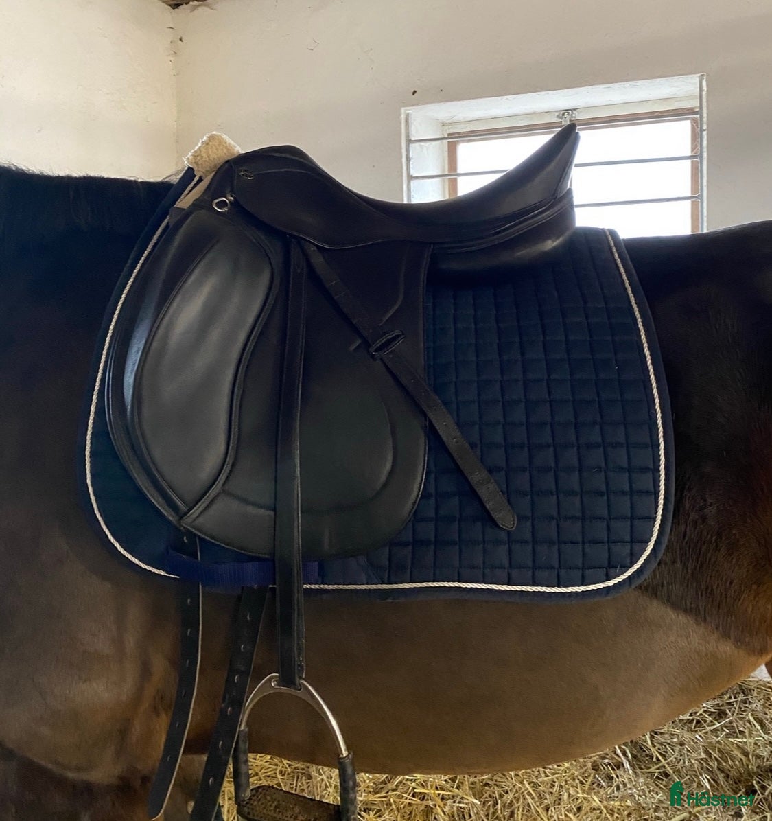 Sadlar hästutrustning Lippo Azzario Supreme - Annons 7