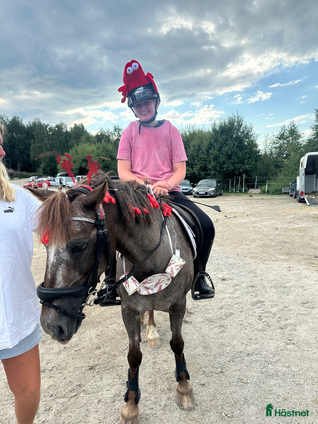 Hoppning hästar till salu: Världens Bästa Ponny i Skepplanda - Annons 4