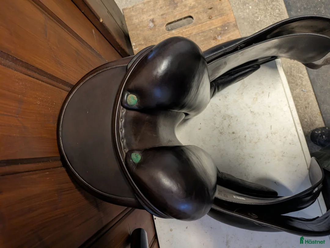 Sadlar hästutrustning till salu: Amerigo pinerolo  i Kovland - Annons 4