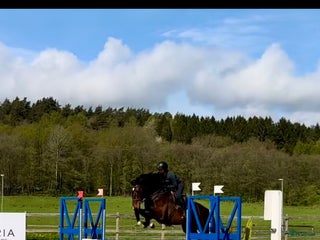 hästservice finnes: Samarbete/ rehab / tillridning / inridning i Ödsmål - Annons 3