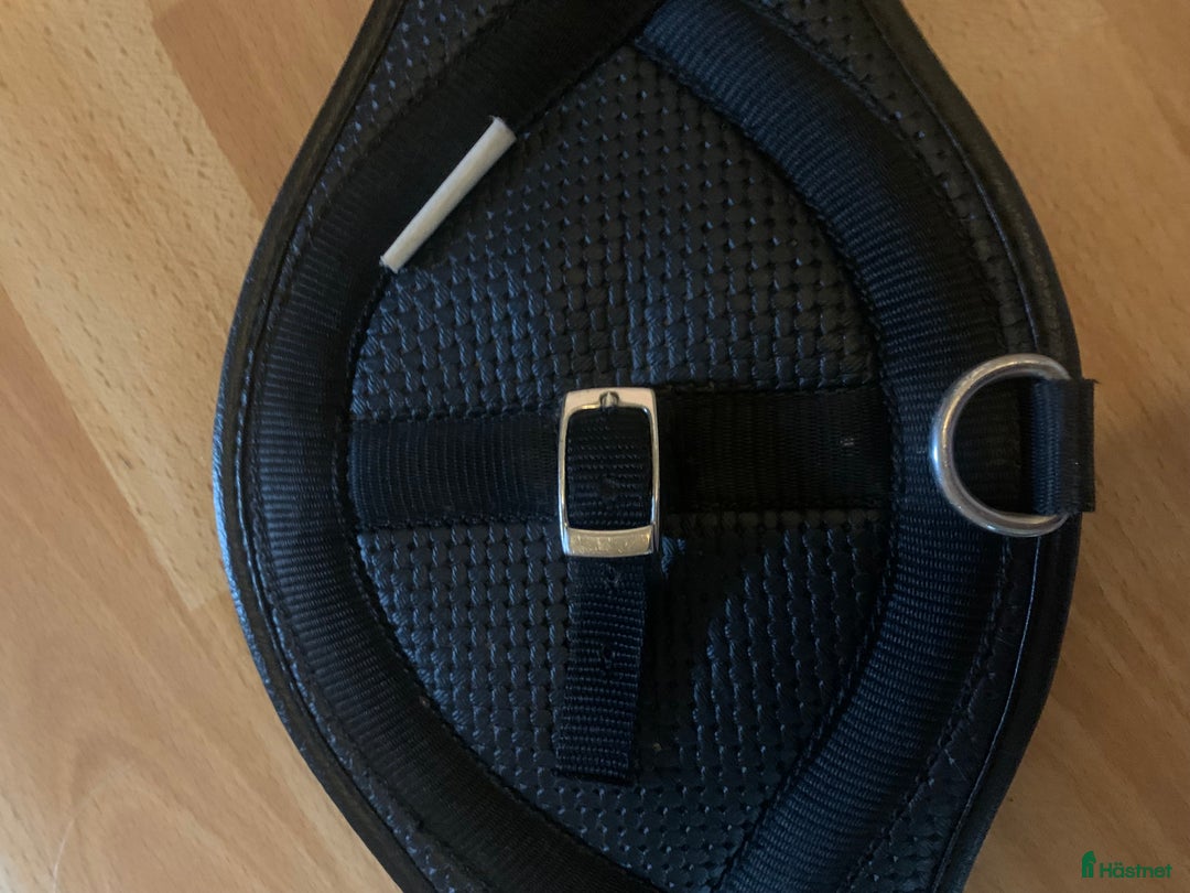 Sadeltillbehör hästutrustning till salu: Dressyrgjord i sympatex  i Hälleforsnäs - Annons 10