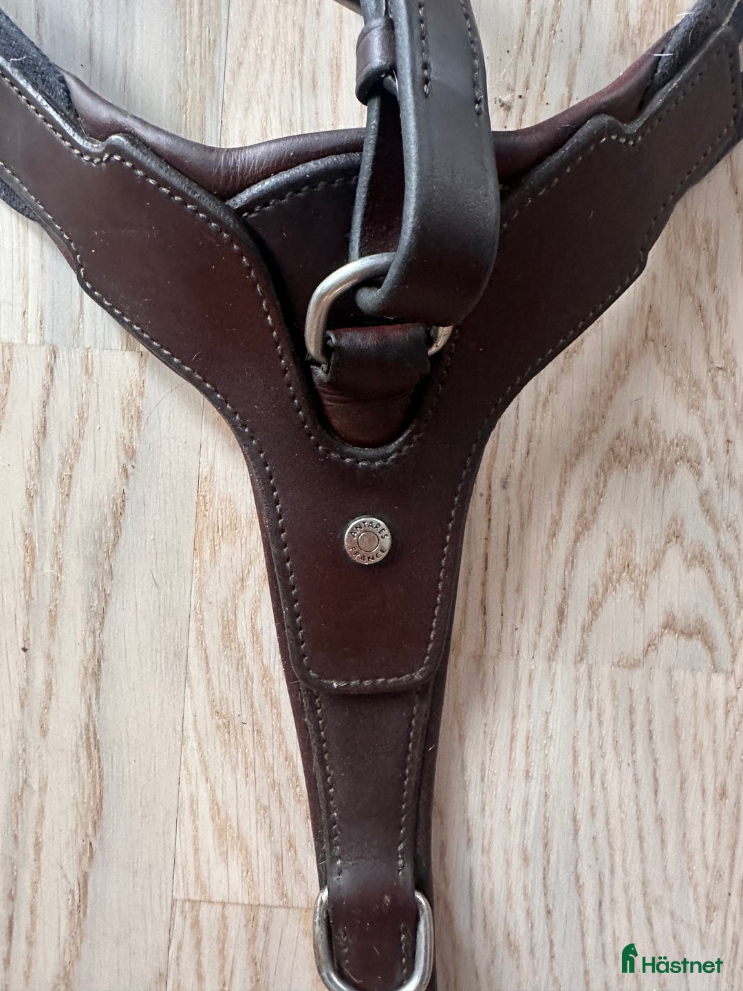Övrig Hästutrustning hästutrustning till salu: Antarés förbygel med resår inklusive martingal. i Västervik - Annons 4
