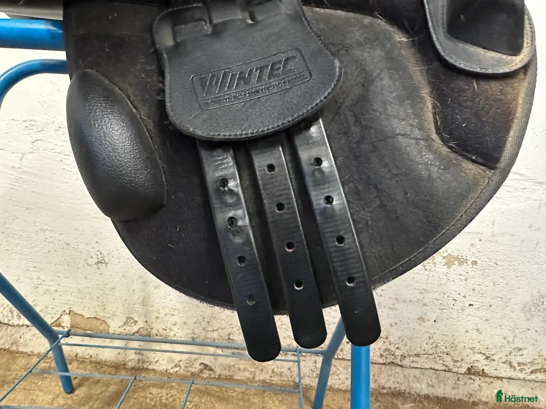 Sadlar hästutrustning till salu: Wintec hopp inkl 5 järn - Annons 11