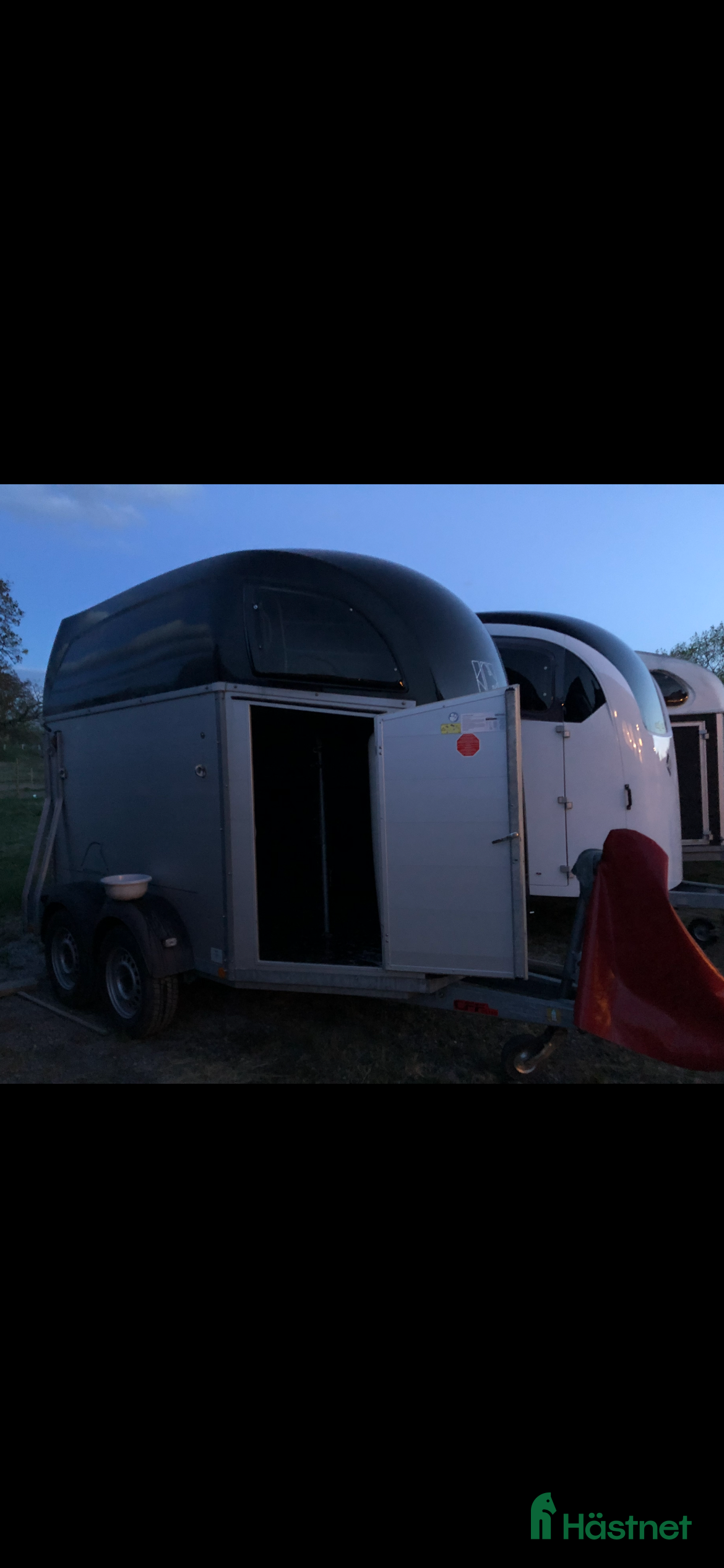 Hästtransporter  fordon & transport till salu: Böckmann - Champion R  i Täby - Annons 14