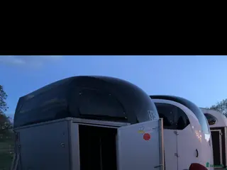 Hästtransporter fordon & transport till salu: Böckmann - Champion R i Täby - Annons 14