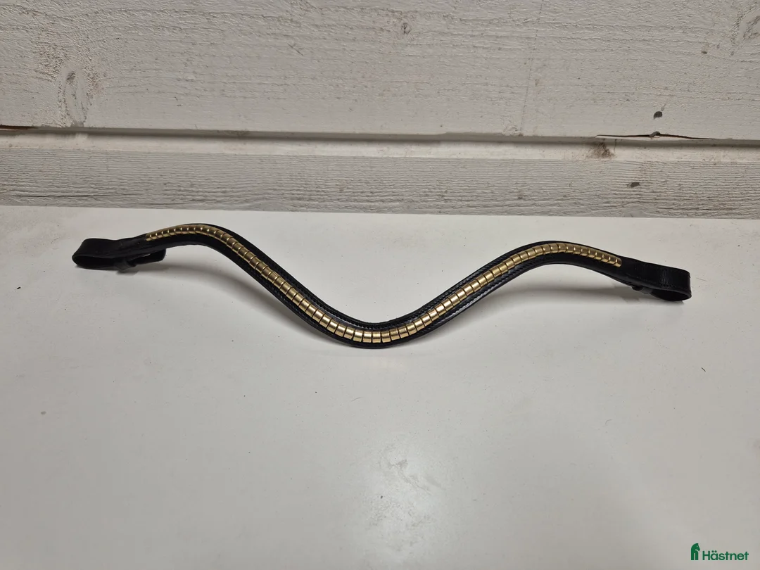 Träns hästutrustning till salu: The equemist pannband - Annons 1