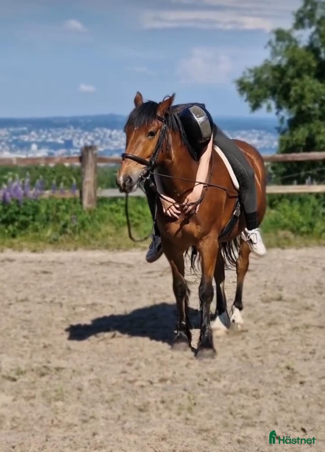  stallplats finnes: Stallplats i Jönköping - Annons 6