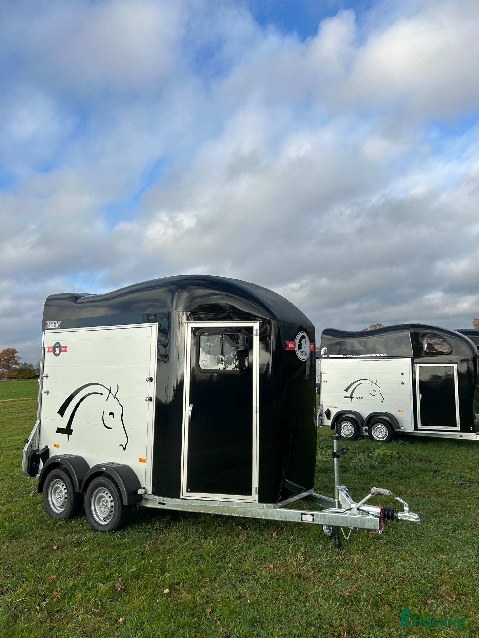 Hästtransporter  fordon & transport till salu: Cheval Gold Origins - Annons 16