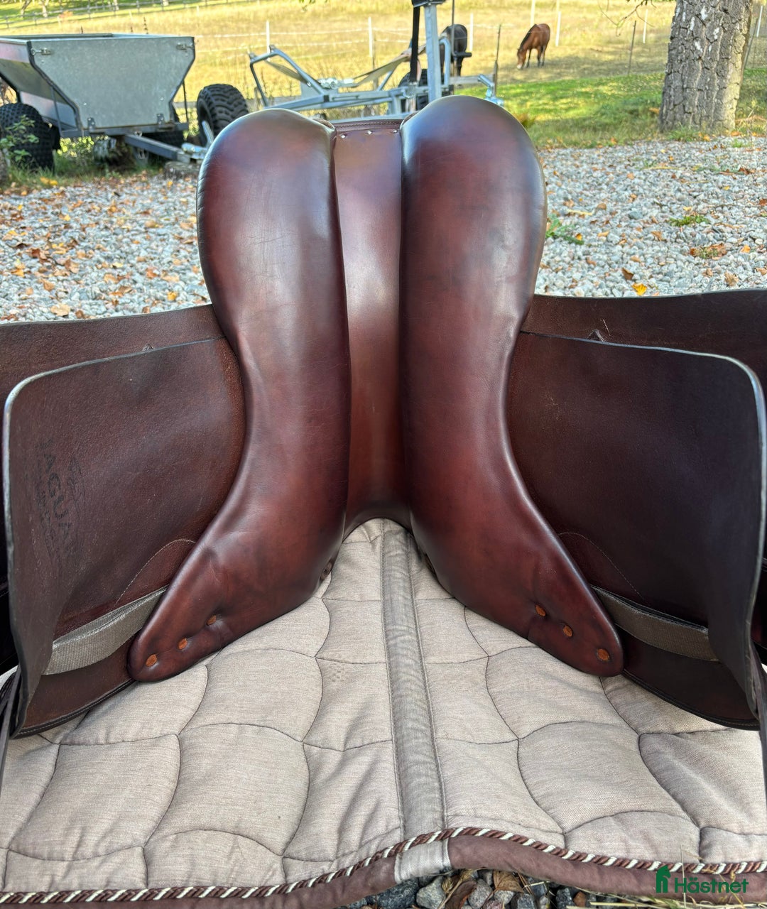 Sadlar hästutrustning till salu: Jaguar dressyr i Grödinge - Annons 8