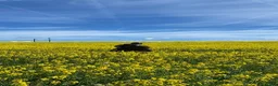  hästjobb finnes: Sommarjobb- Skåne i Helsingborg - Annons 1