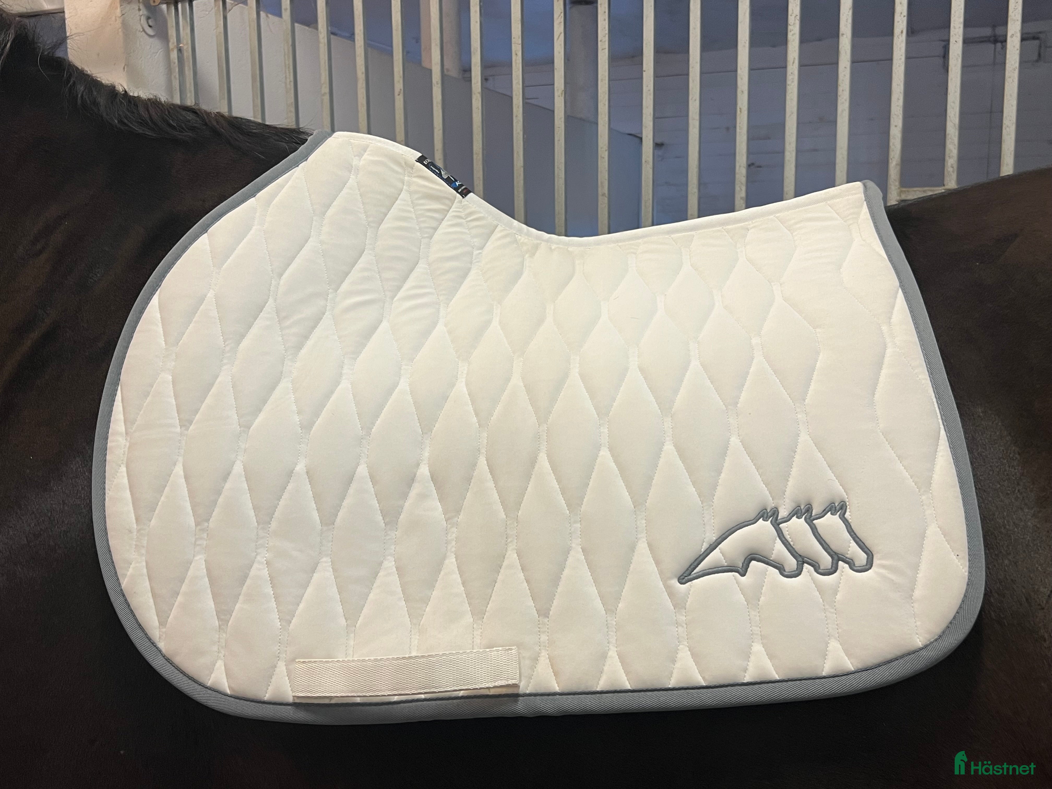 Schabrak & Vojlockar hästutrustning till salu: Oanvänt Equiline schabrak i Karlstad - Annons 11