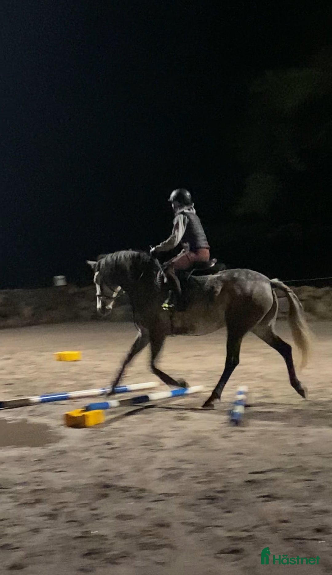 Galleribild {{count}}