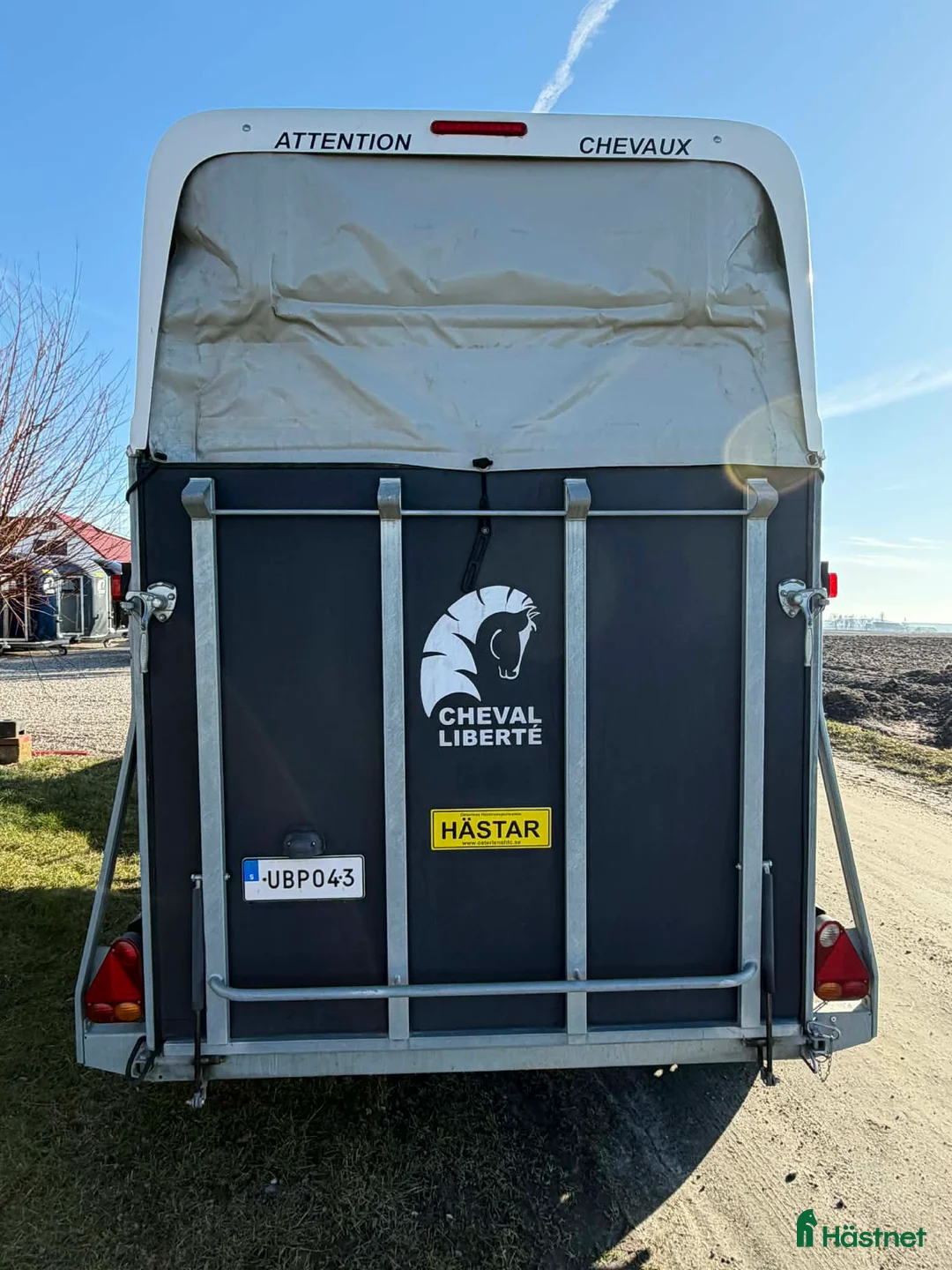 Hästtransporter  fordon & transport till salu: Fin hästtransport utan sadelkammare - Annons 2