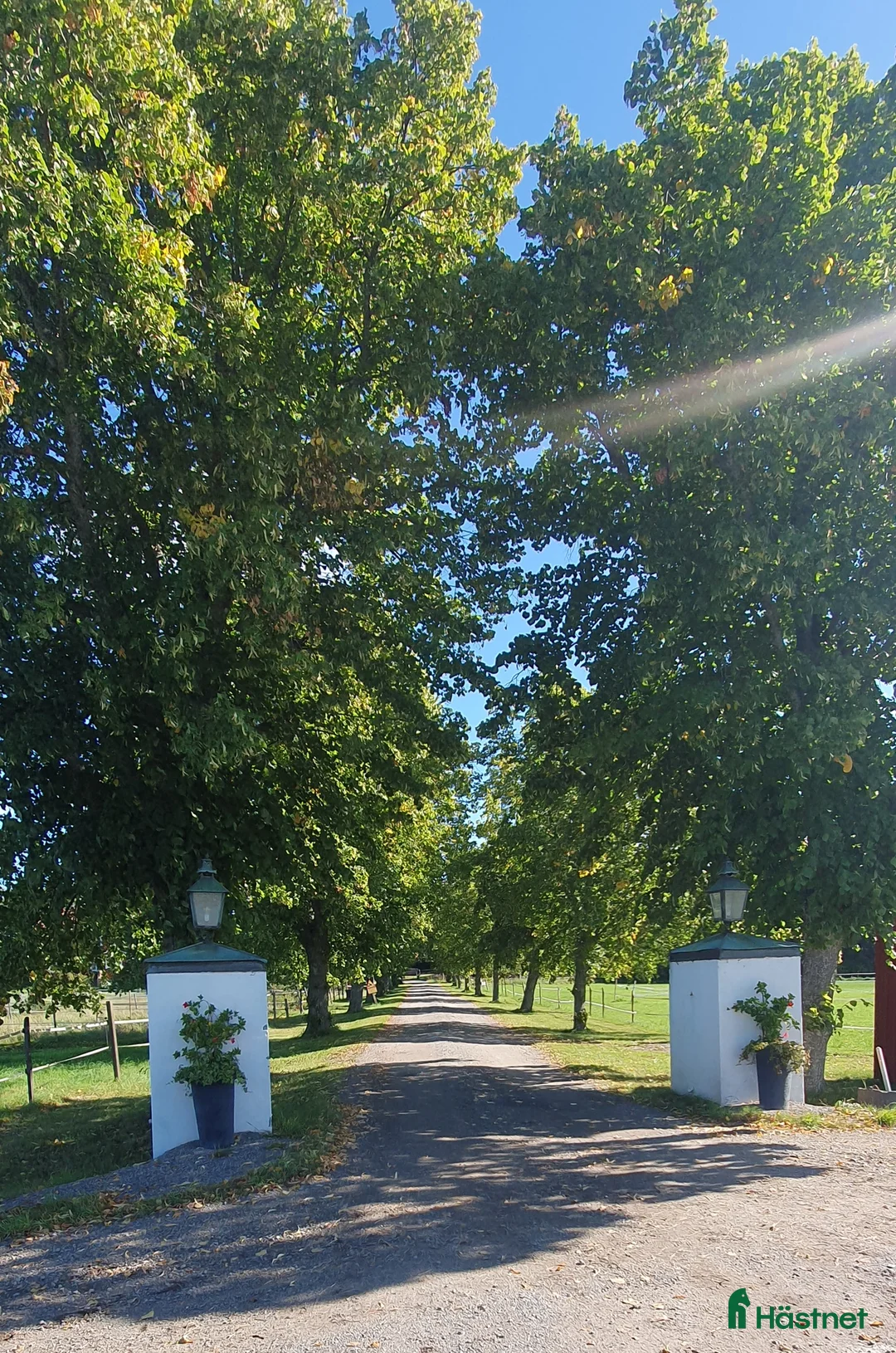  lägenhet till salu: Uthyres på Hästgård - Annons 4