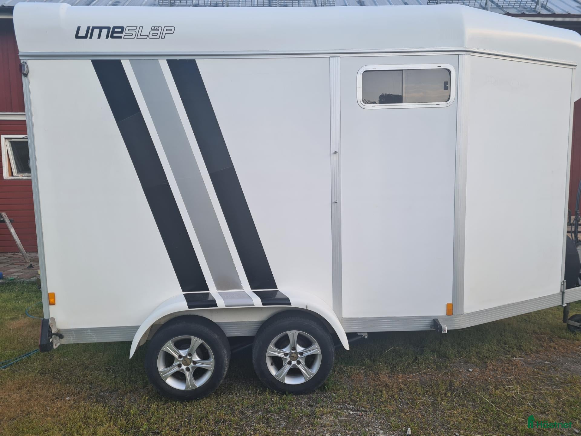 Hästtransporter  fordon & transport till salu: Umesläp B60 2008  - Annons 3