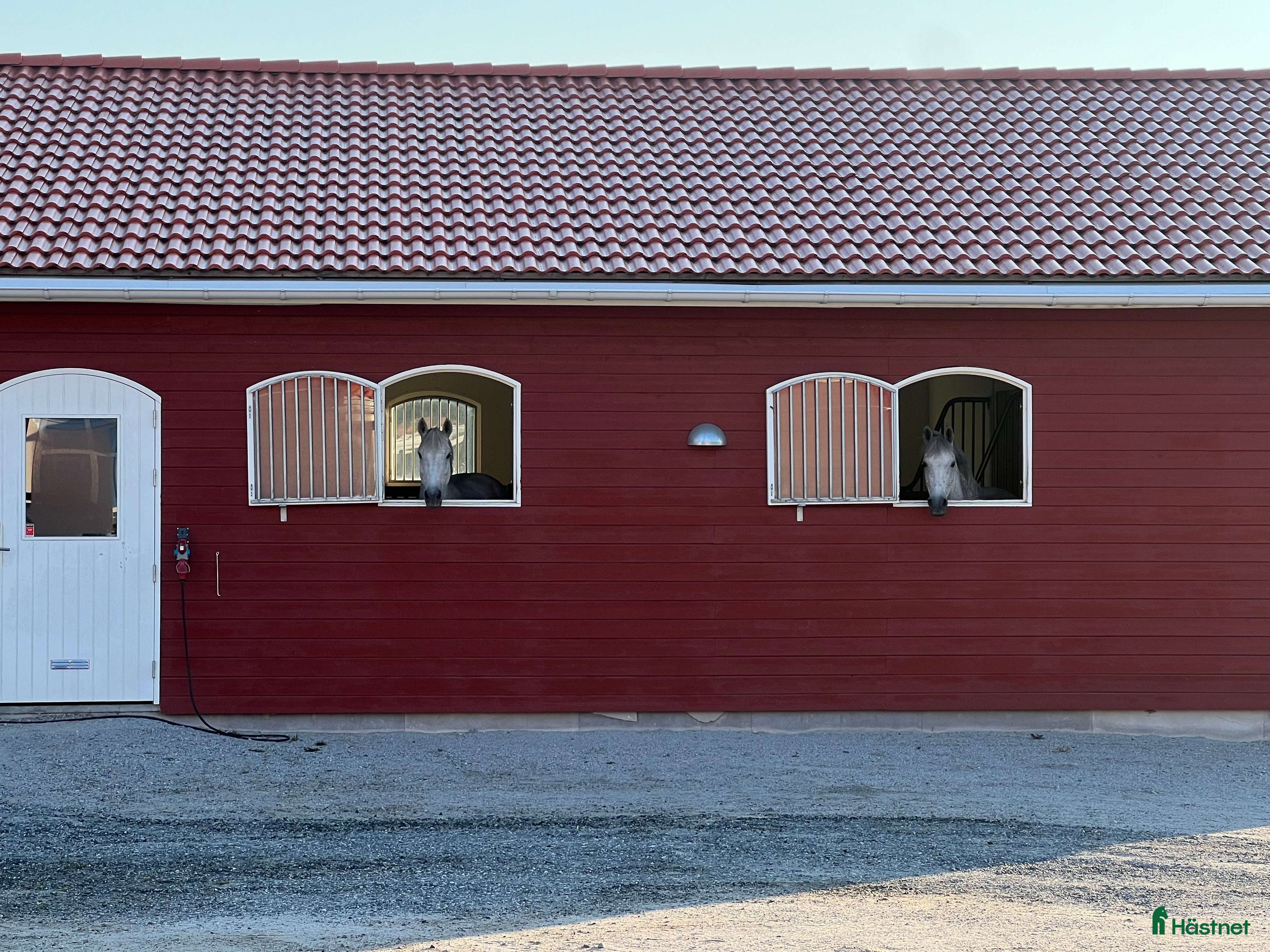  stallplats En ledig boxplats i litet stall i Brottby - Annons 6