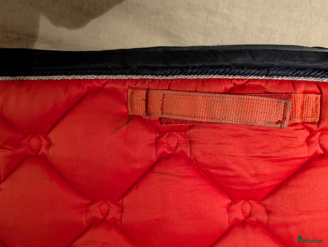 Schabrak & Vojlockar hästutrustning till salu: Equestrian Stockholm schabrak  i Borlänge - Annons 5