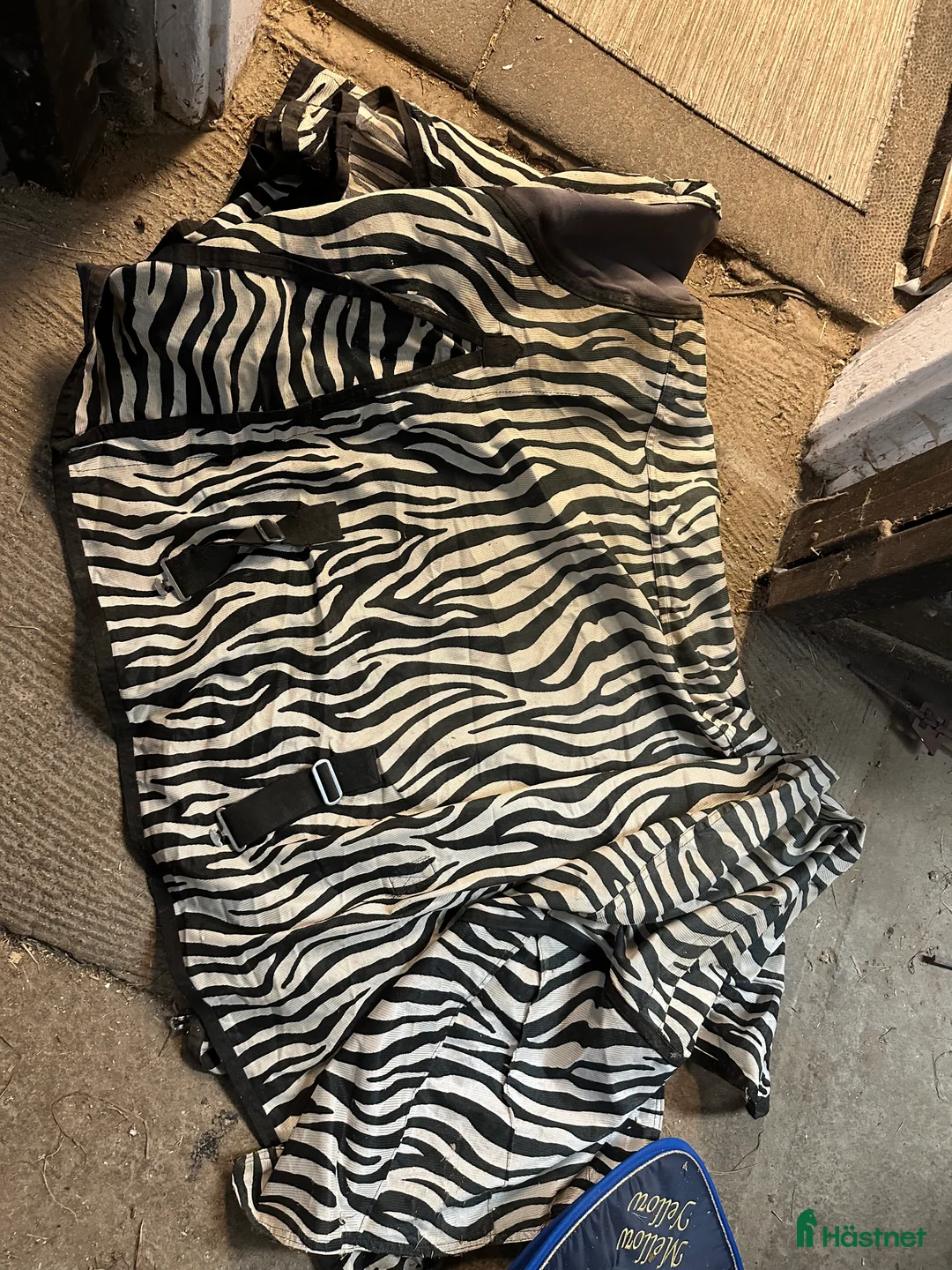 Täcken hästutrustning till salu: Flugtäcke  i Täby - Annons 1