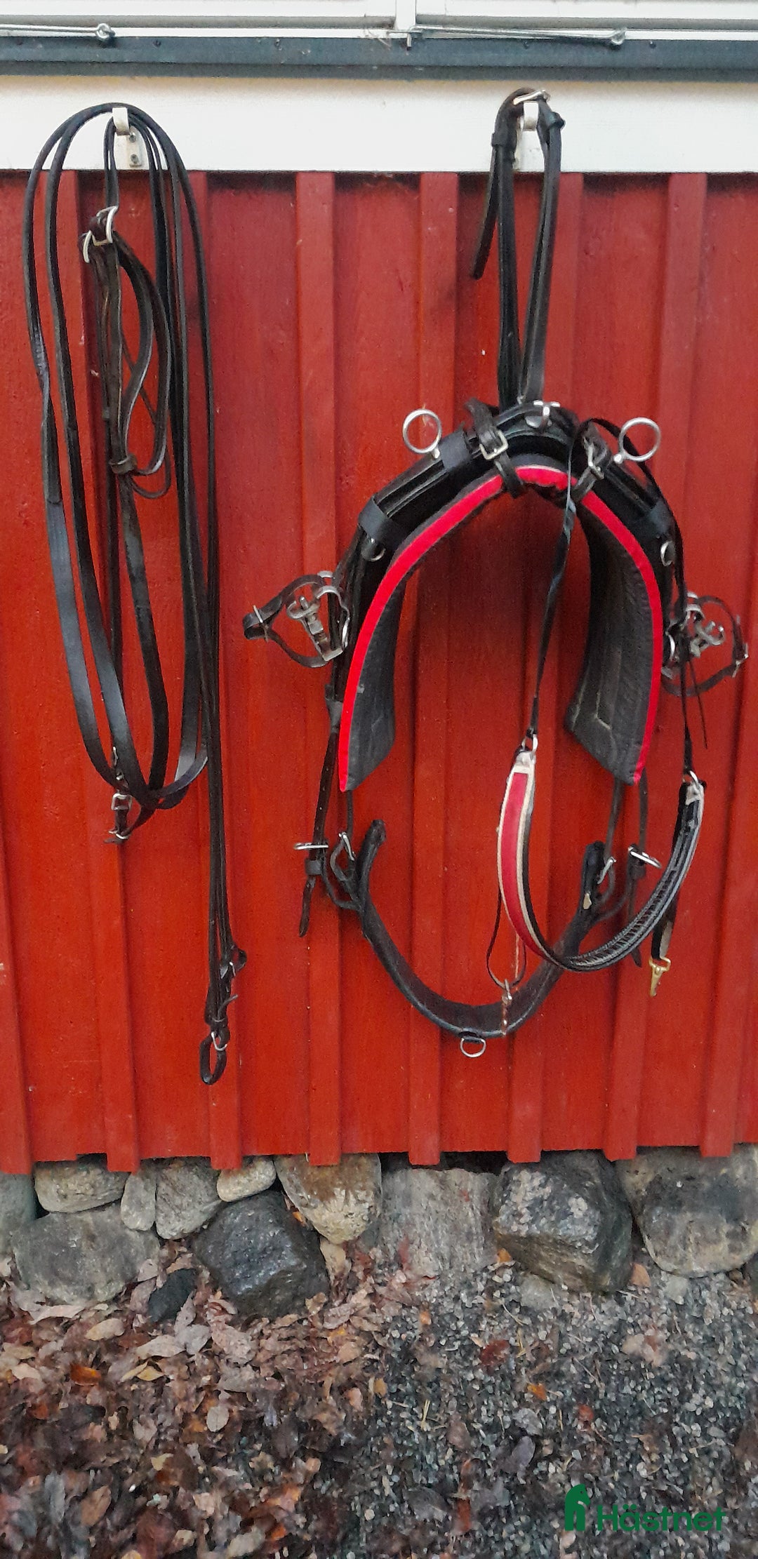 Travselar trav till salu: Travsele huvudlag lång tömmar  i Sorunda - Annons 3