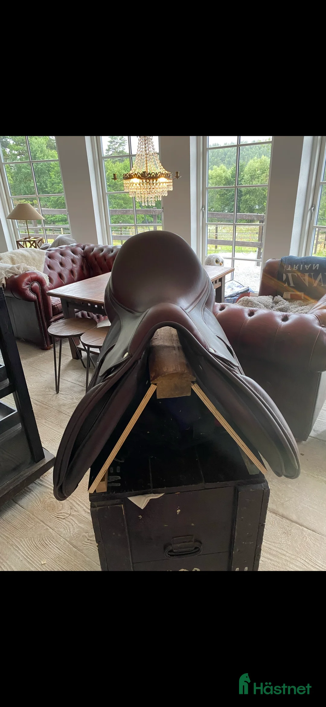 Sadlar hästutrustning till salu: Antares evolution  i Ekerö - Annons 2