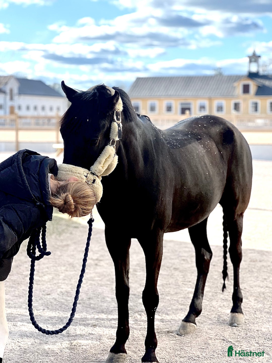 Hoppning hästar till salu: Fantastisk läromästare 🩵😇💫 i Åkersberga - Annons 5