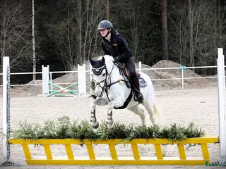 hästar Bästa allround ponnyn - Annons 13