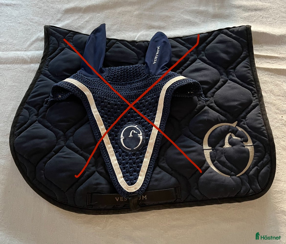 Schabrak & Vojlockar hästutrustning till salu: Vestrum schabrak i Bollnäs - Annons 2