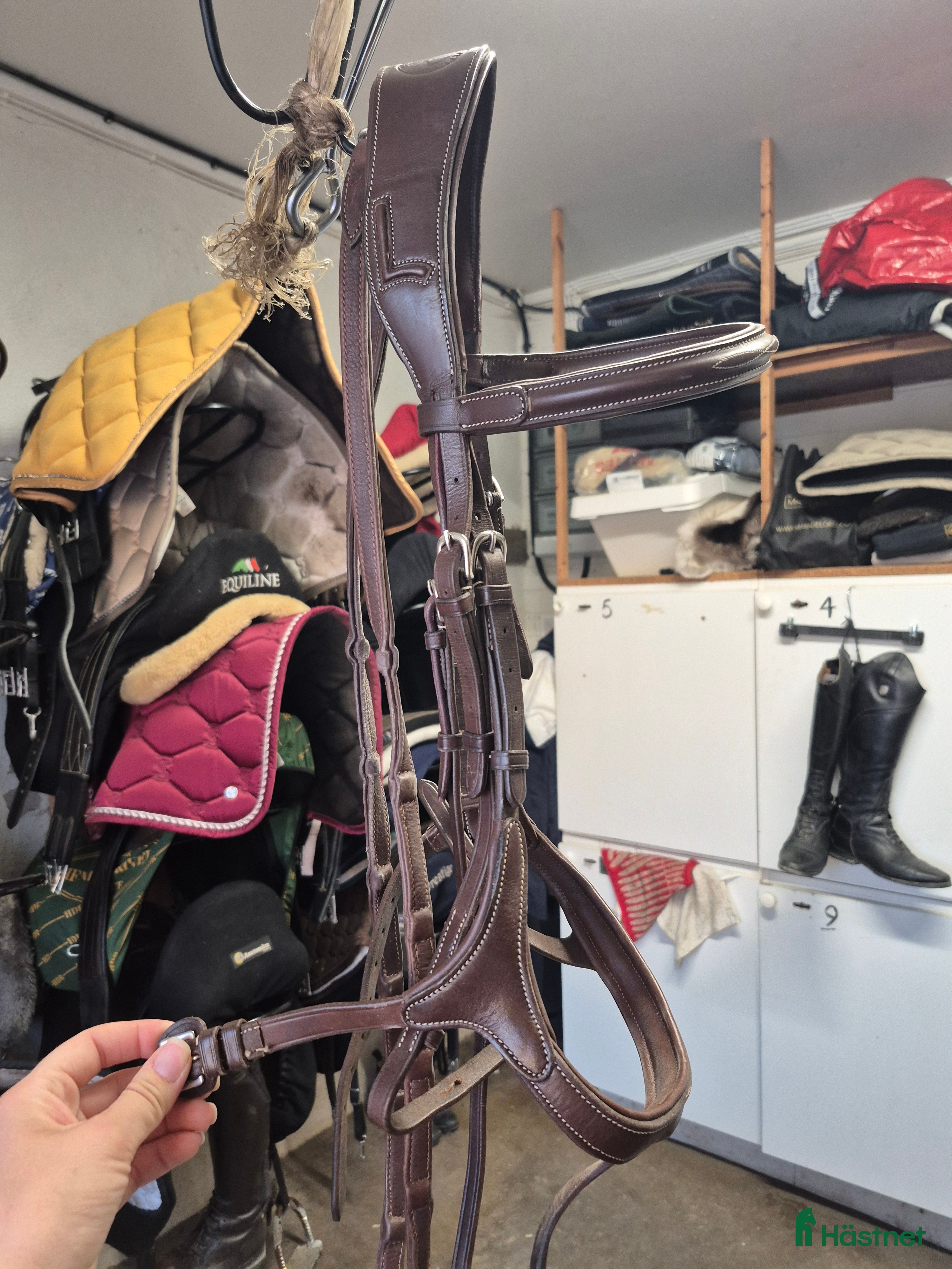 Träns hästutrustning Lippo träns - Annons 2