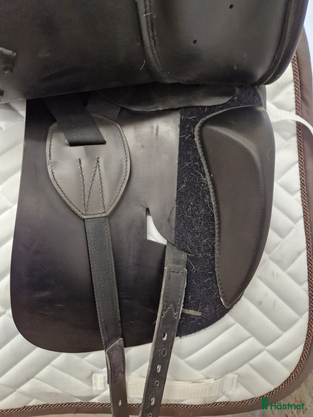 Sadlar hästutrustning till salu: Prestige Lucky Idol i Oskarström - Annons 7