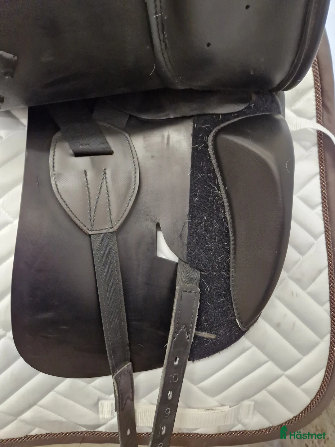 Sadlar hästutrustning till salu: Prestige Lucky Idol - Annons 7