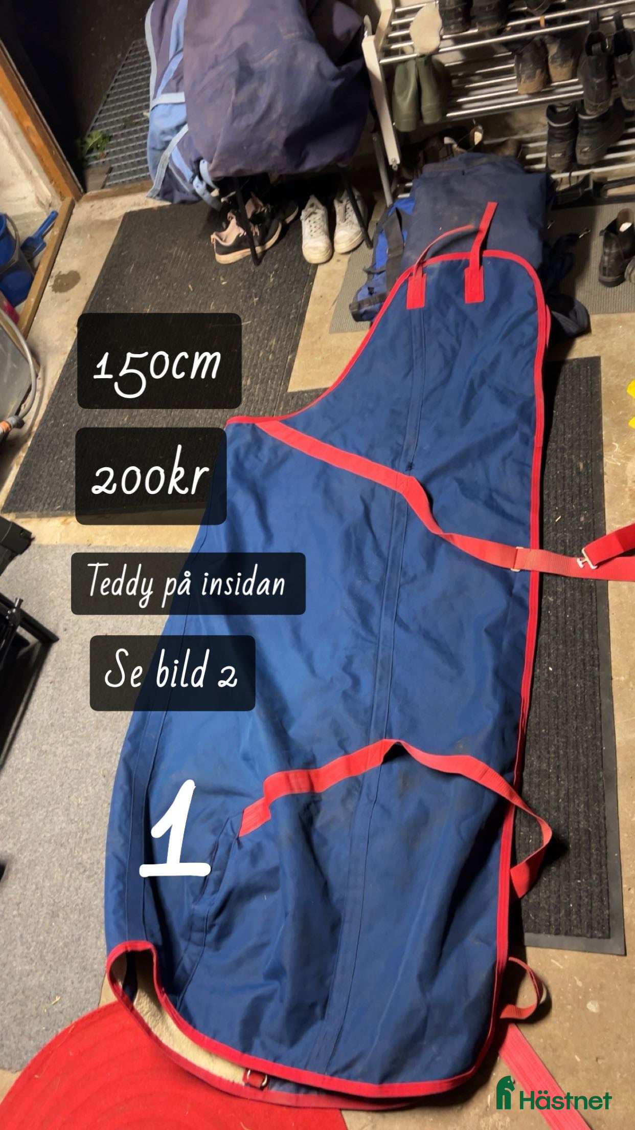 Täcken hästutrustning till salu: Vintertäcke med teddy i Sturefors - Annons 18