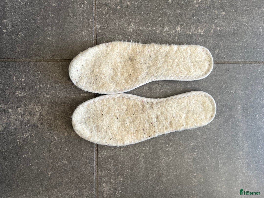 Ridstövlar ryttarutrustning till salu: Jodhpur med stålhetta från Crw - Annons 5