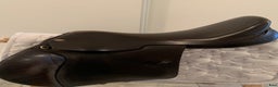 Sadlar hästutrustning till salu: Brun Clobus hoppsadel säljes  i Eskilstuna - Annons 1