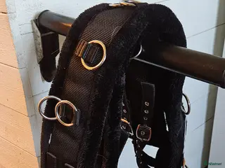 Övrig Hästutrustning hästutrustning Tömkörningsgjord - Annons 7