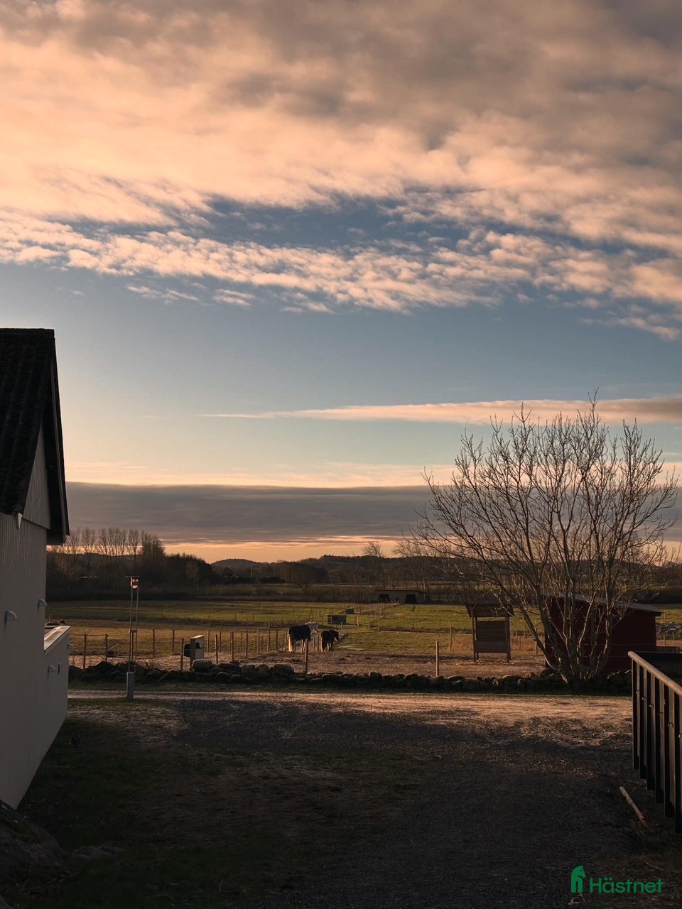  stallplats Stallplats i Onsala  i Onsala - Annons 18