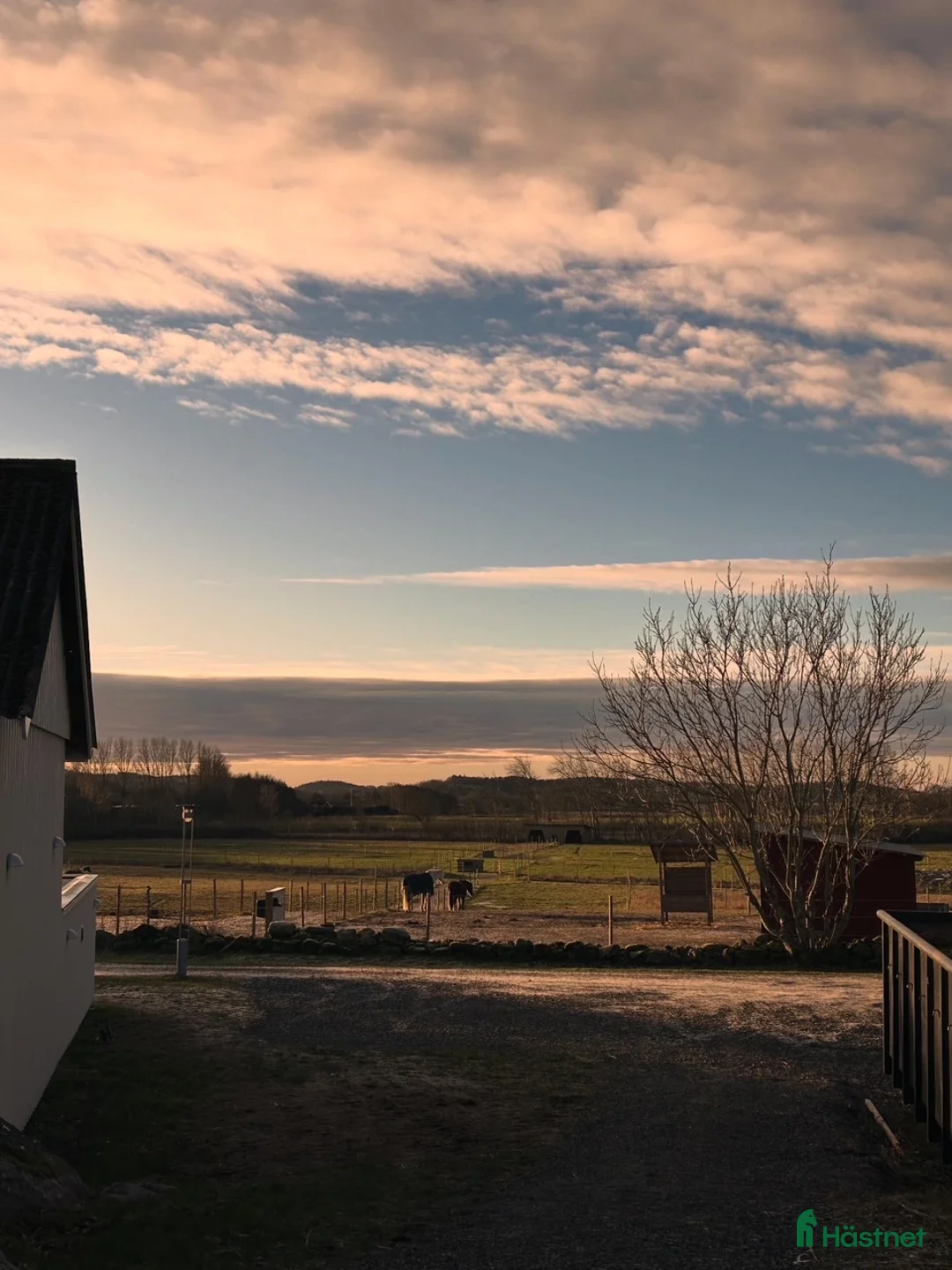  stallplats finnes: Stallplats i Onsala  i Onsala - Annons 1