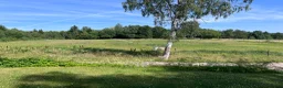  stallplats finnes: Stallplats  i Sävsjö - Annons 6