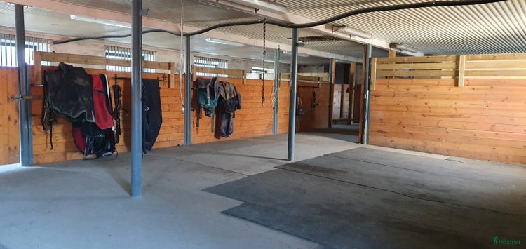 stallplats i Örebro - Annons 12