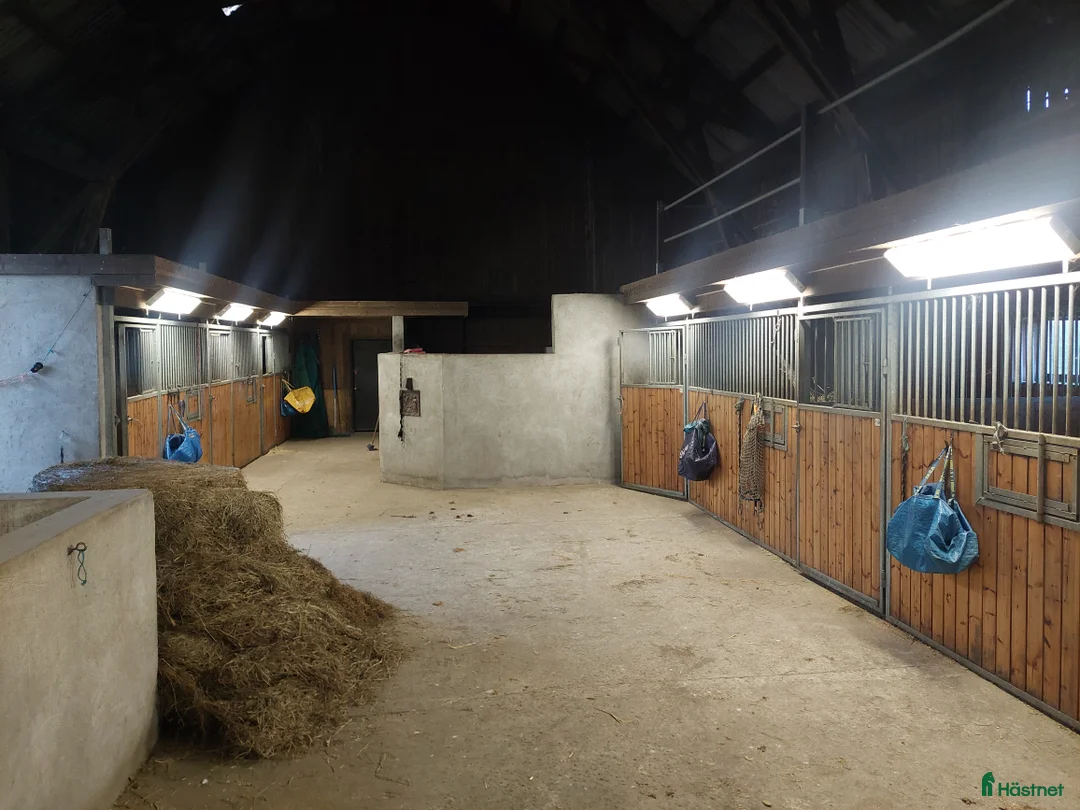  stallplats finnes: Lösdrifts platser. i Staffanstorp - Annons 6