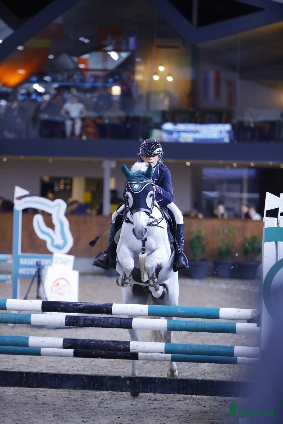 Hoppning hästar till salu: Springpony - Annons 1