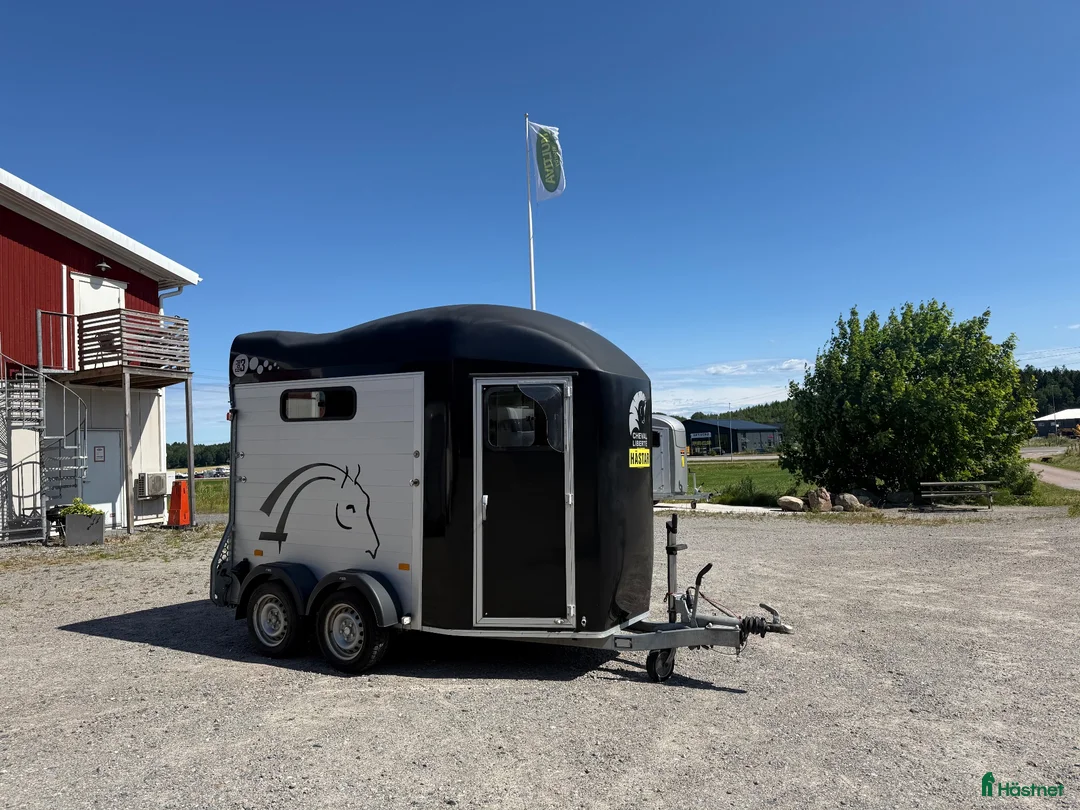 Hästtransporter  fordon & transport till salu: Cheval Liberte gold 3 2022 - Annons 2