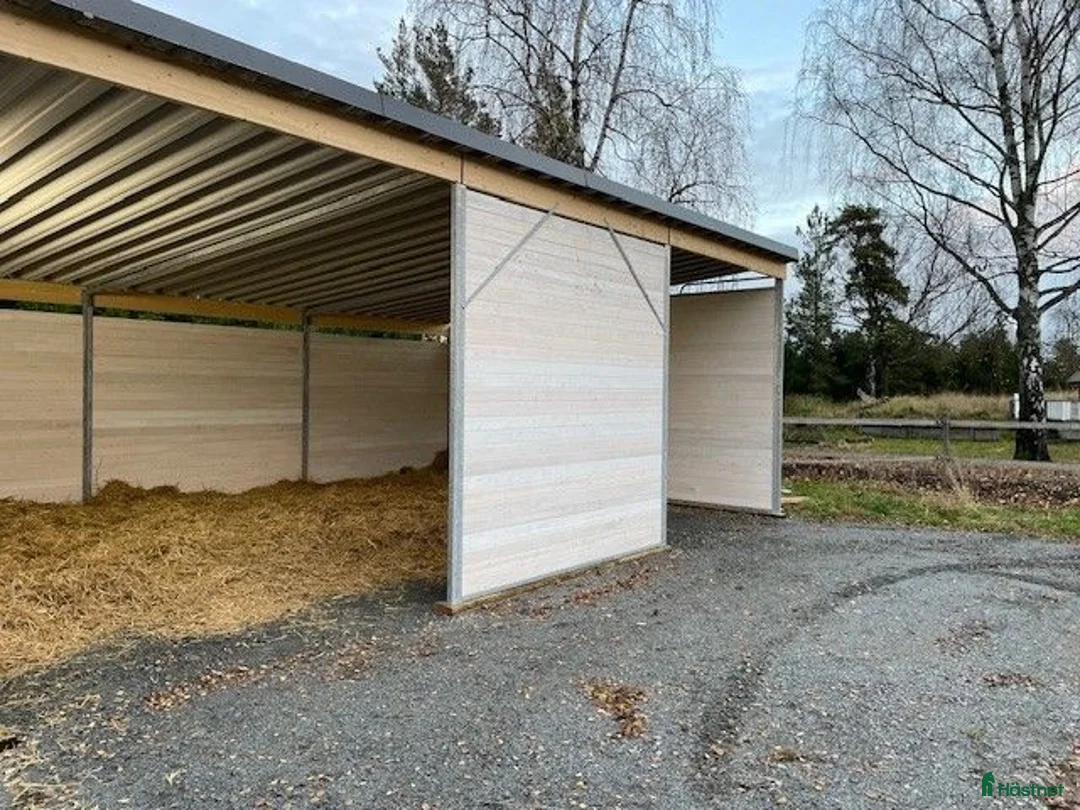  stallplats finnes: Lösdriftsplats finnes - Annons 1
