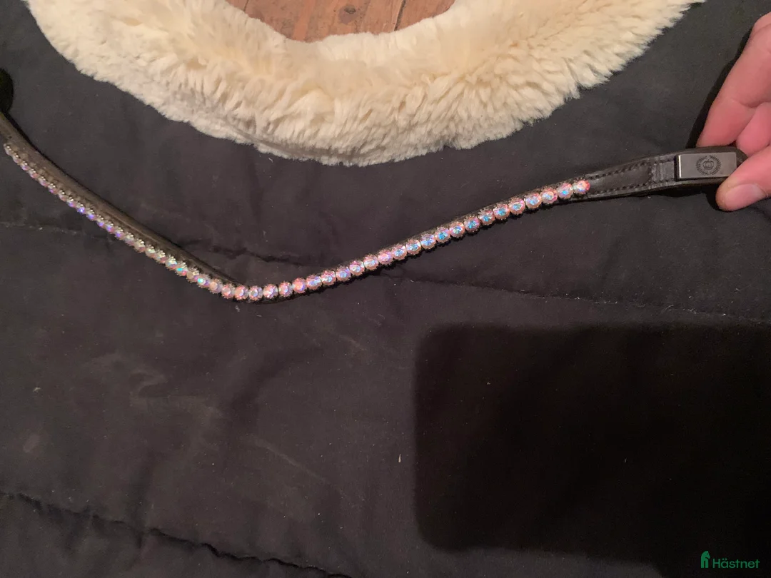 Övrig Hästutrustning hästutrustning till salu: Häst saker säljes  i Vänersnäs - Annons 5