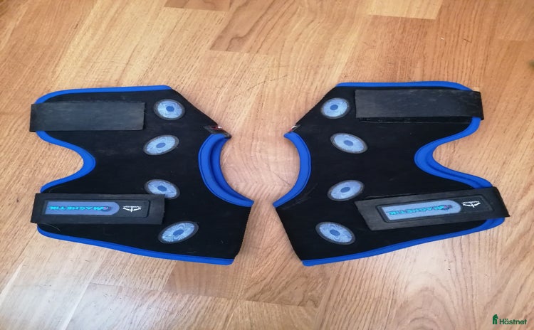 Benskydd hästutrustning till salu: Hasskydd med magneter i Västra Frölunda - Annons 11