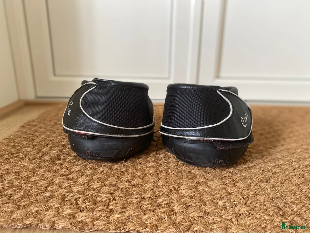 Övrig Hästutrustning hästutrustning till salu: Cavallo Boots  - Annons 1