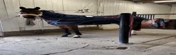 Övrig Hästutrustning hästutrustning till salu: ActivoMed Magnettäcke + Benskydd - Annons 3