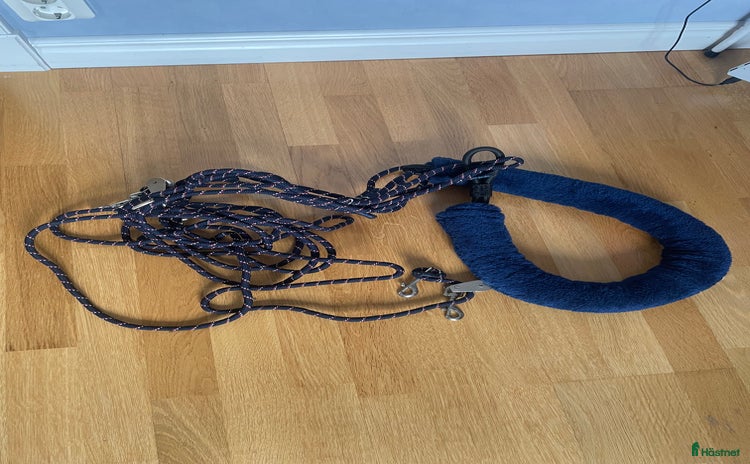 Övrig Hästutrustning hästutrustning till salu: Longeringssystem i Lund - Annons 19