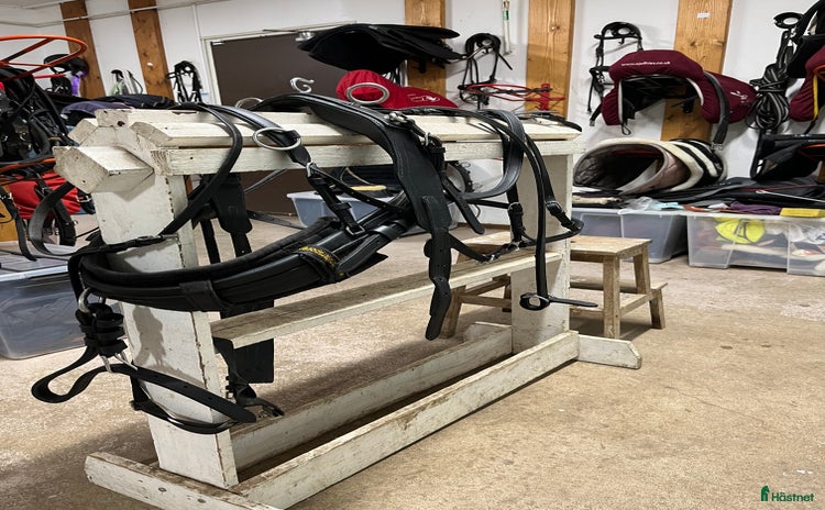 Körselar körning till salu i Fagersta - Annons 15