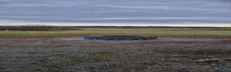  stallplats finnes: Lösdriftskompis sökes - Annons 3